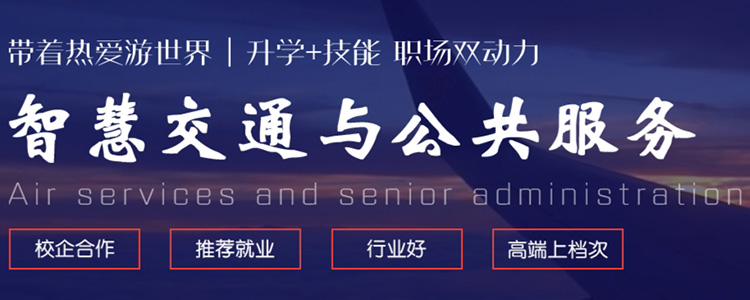智慧交通与公共服务