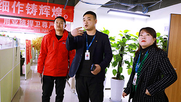 项目实训